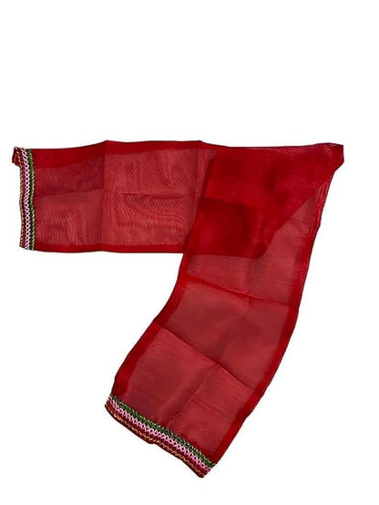 Girls Kids Lehenga Choli